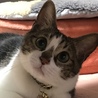  さん