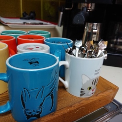 クリスマス保護猫カフェ型譲渡会 サムネイル2