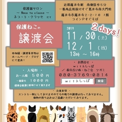 11月30日　12月1日　藤井寺保護猫譲渡会