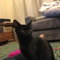 ネロ
