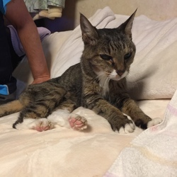 「急変！悪夢再び！！追記あり」サムネイル2