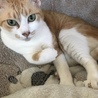 みーたん1014