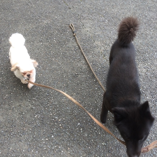 あらしぱぱのカバー写真