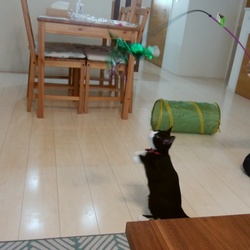 ぐーたん　幸せいっぱい❤