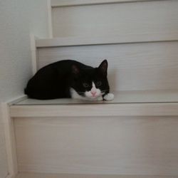 「ぐーたん　幸せいっぱい❤」サムネイル3