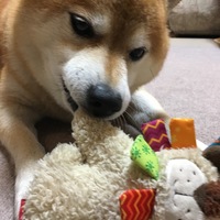 タブロ