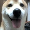 がんすけどの