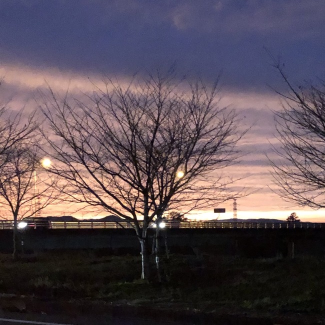 ぽりこのカバー写真