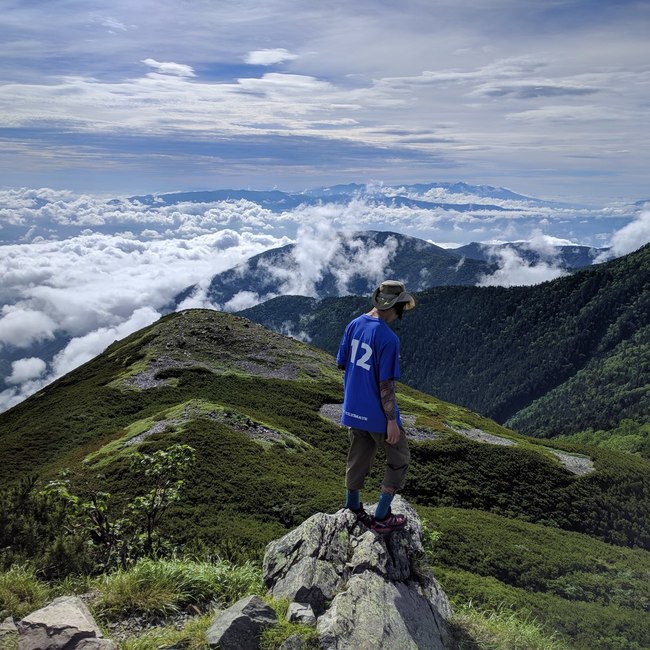 森本智子のカバー写真