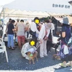 犬とねこの譲渡会 サムネイル2