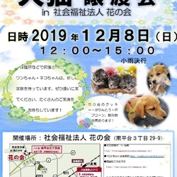 犬とねこの譲渡会 サムネイル1