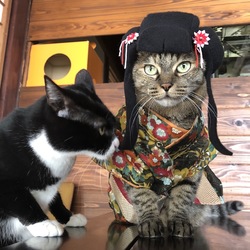 体重測定　あんみつ姫