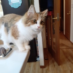 小さなアンディ日に日に大きく(笑)