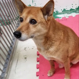 センターにお迎えがありました！有難うございました