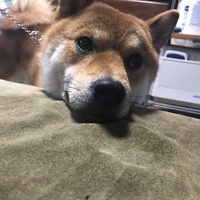 まる
