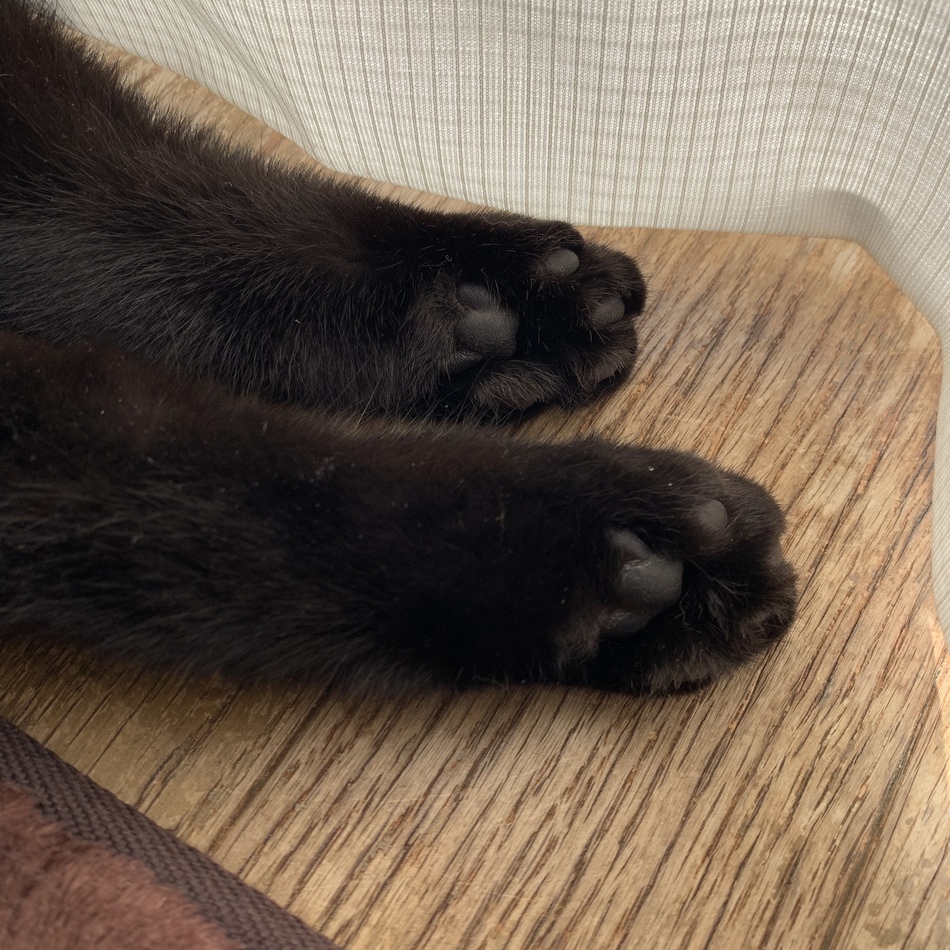 nuitのカバー写真