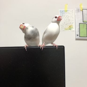 仲良くなってきました