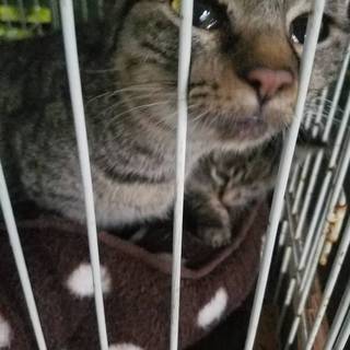 沖縄・離島久米島の行政施設収容