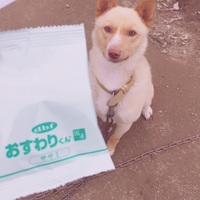 コロ