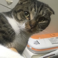 まーくん