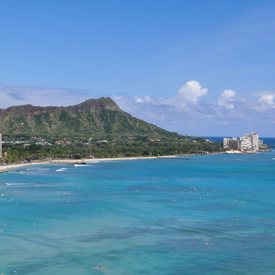 しげこのカバー写真