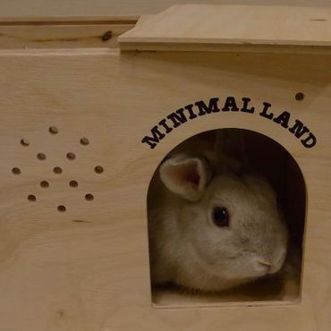 セカンドハウス