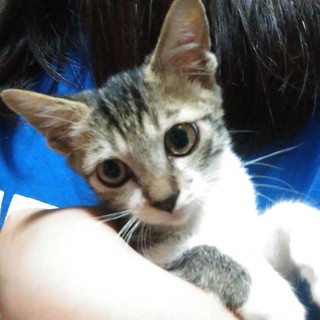 4〜5ヶ月位です！お姉ちゃんもいますー