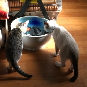 の写真