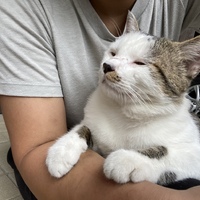 テント