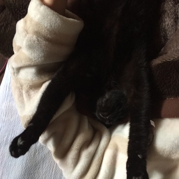 の写真
