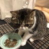 えびす