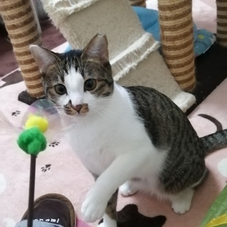 スリスリ大好き！あこちゃん