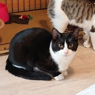 しっかりもののプリンセス【所沢】