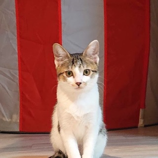 遊ぶの大好き♡おてんば娘