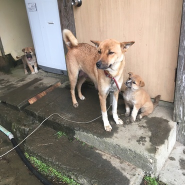 母と子