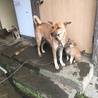 母と子