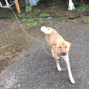雨が目にーーー(*_*)