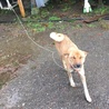 雨が目にーーー(*_*)