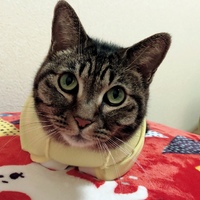 栗田はな
