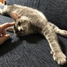 これから去勢で入院。頑張ってね