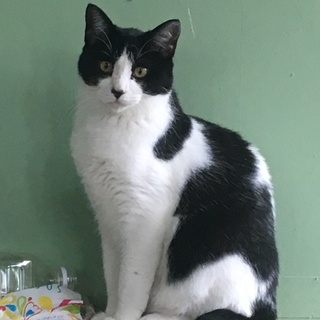 小熊ちゃんみたいなタラちゃん4歳