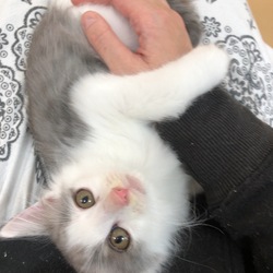 元気いっぱい！