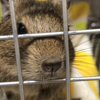 素敵な里親様に出会えました。