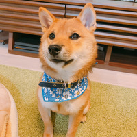太郎