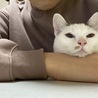の写真
