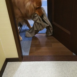 雨の日の暇の過ごし方