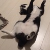 構って！！