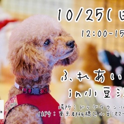 ※開催中止※ハッピー犬屋敷2020年第9回ふれあい会in小豆沢