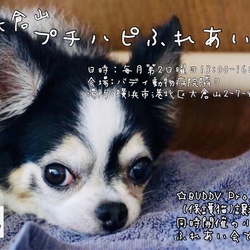 大倉山プチハピふれあい会