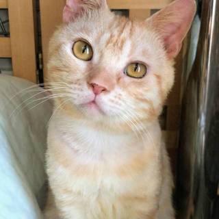 【ジケオ】おかげさまで里親様が決まりました！